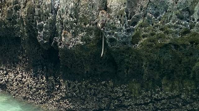 Место встречи