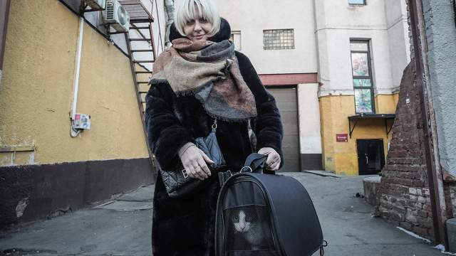 Как правило, и котокафе, и приют не забывают про своих питомцев и поддерживают связь с новой семьей котика минимум полтора месяца по договору, а неформально — бессрочно