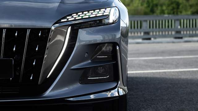 Дневные ходовые огни выполнены в стиле крыльев парящего орла. С каждой стороны 21 независимый источник освещения. На выбор дается пять комбинаций рисунка ДХО