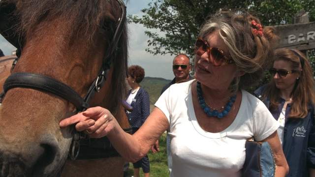 French former actress, singer and fashion model, now an animal rights activist Brigitte Bardot