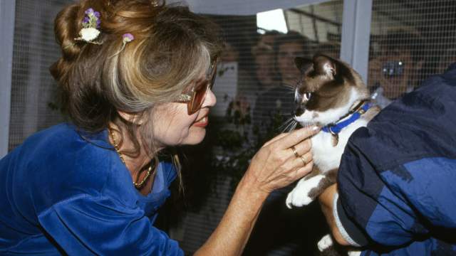French former actress, singer and fashion model, now an animal rights activist Brigitte Bardot