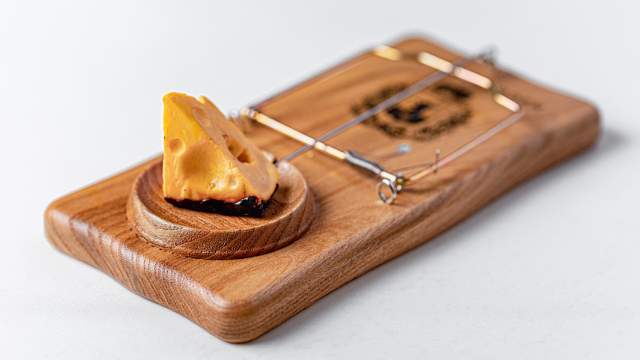 Курс «Мышкин»