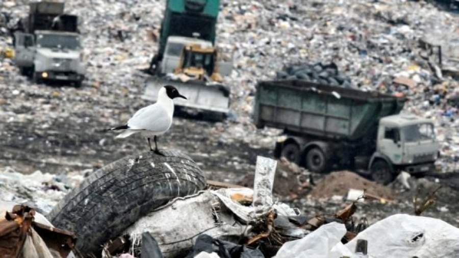 Свалкам - бой!