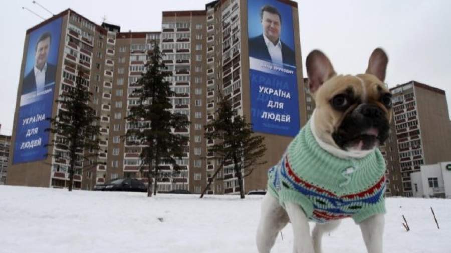 Грузия заинтересовалась украинскими делами Саакашвили