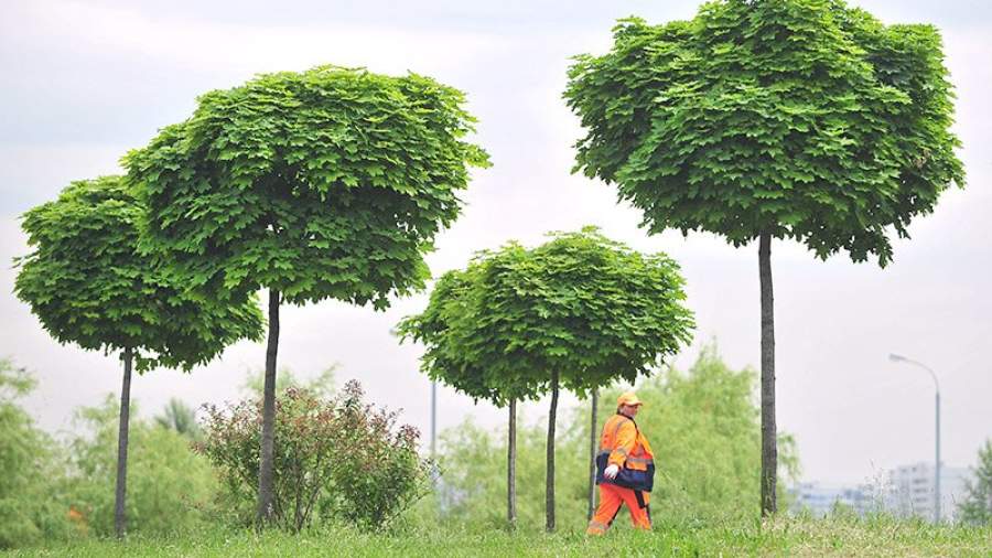 Ученые выявили в Краснодаре зоны аномальной жары