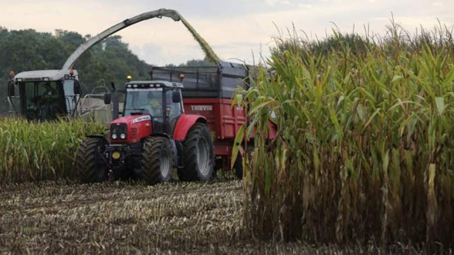 Китайcкие инвесторы построят в Крыму завод по производству лизина 