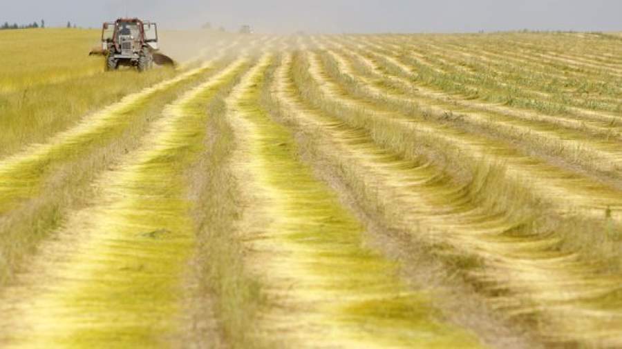 Иностранцам запретят брать в аренду земли больше чем на 10 лет