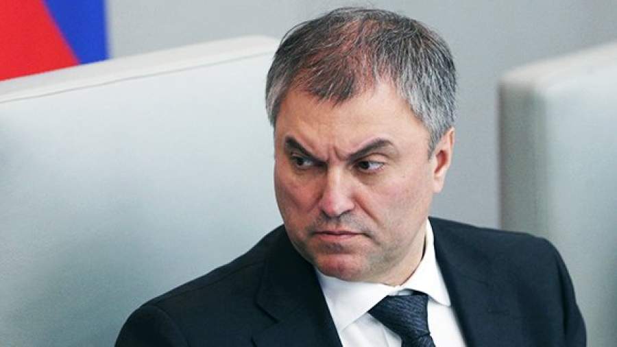 Адвокаты просят Володина отменить арест как уголовное наказание