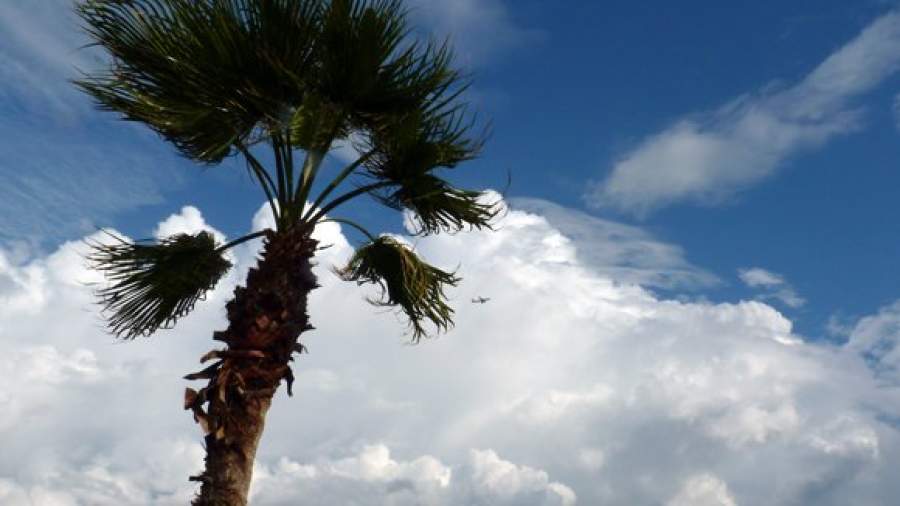 Страховщики не хотят поручаться за турбизнес