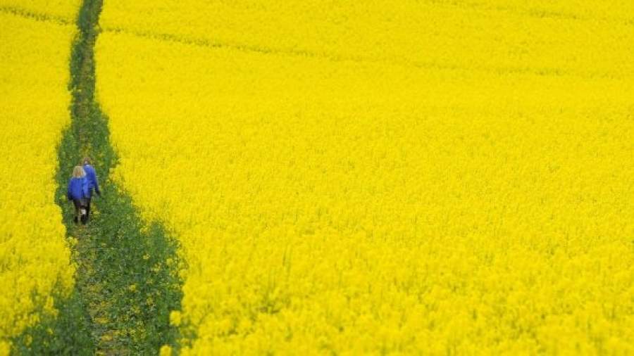 Производители альтернативного топлива останутся без льгот