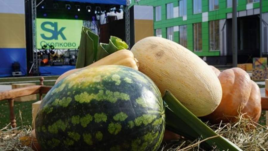 В поисках утраченного. Начало