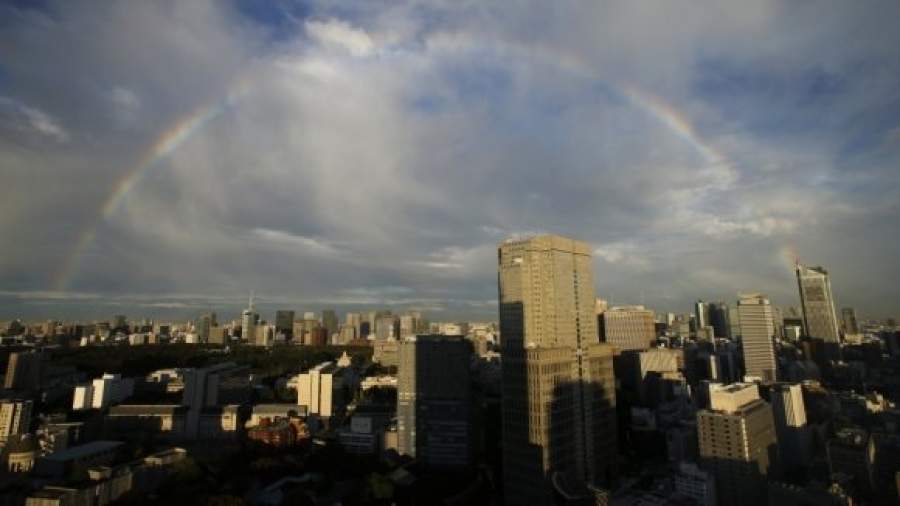 Токийцы ищут сейсмоустойчивого губернатора