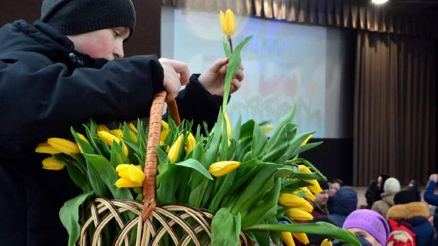 Тюльпаны, медведь и группа «Браво»