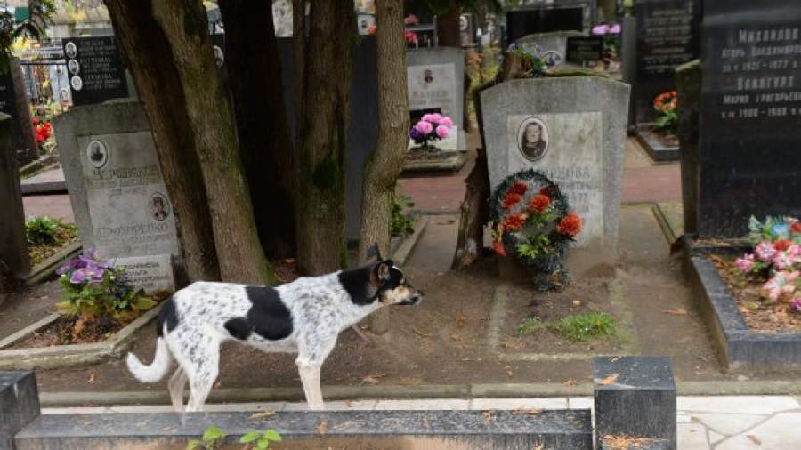 «Владельцев» неухоженных могил хотят привлечь к ответственности