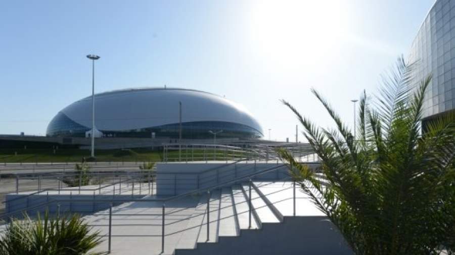 На Олимпиаду в Сочи спортсмены поедут с генетическими паспортами