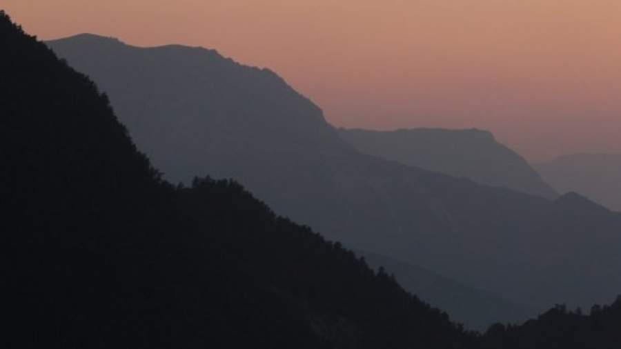 Вышедшие из ингушского леса