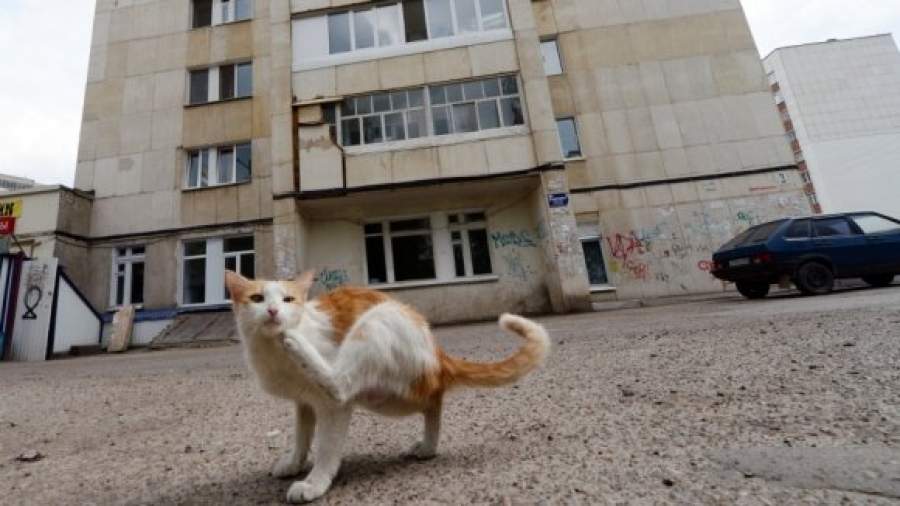 Жильцам первых этажей разрешат не платить за пользование лифтом