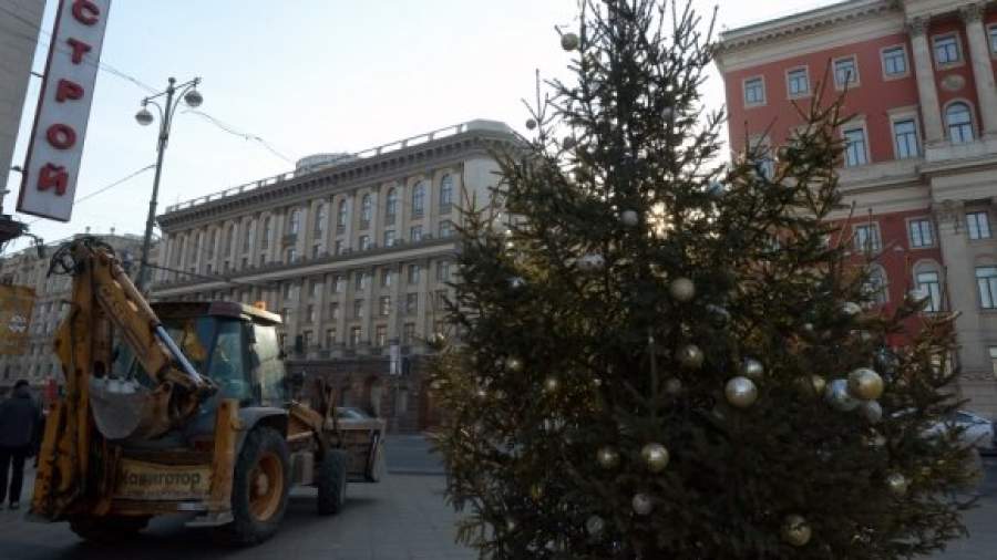 Новогодние елки предлагают перерабатывать в биотопливо