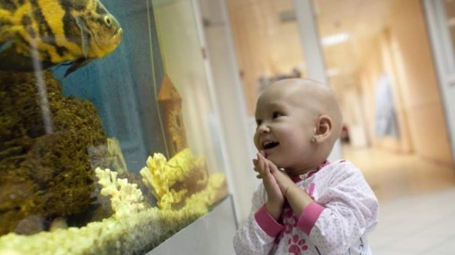 В Москву — за надеждой