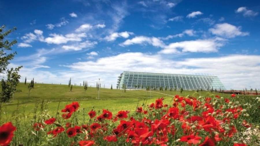 Если уж лечиться, то в Венето