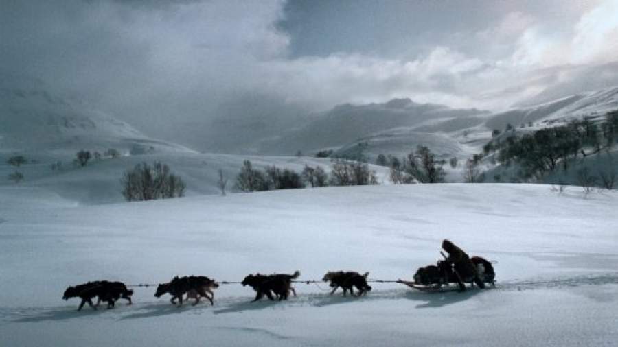 Вместо моста жителям Красногорска предложили теплоход