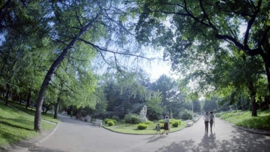 В столичных парках создадут условия для ночлега