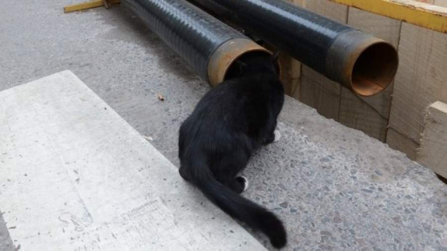 Аудиторы пожаловались премьеру на недофинансирование «коммуналки»