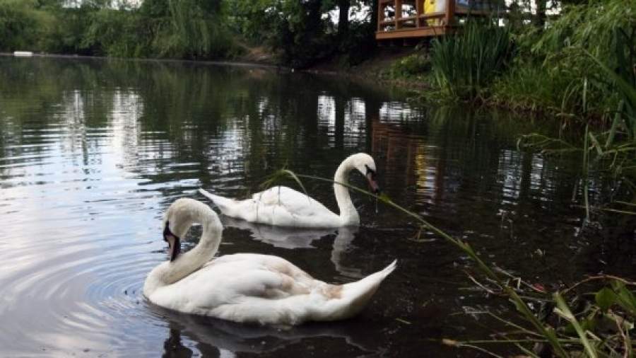 МЧС установит «плавучие» регистраторы и подводных роботов на пляжах