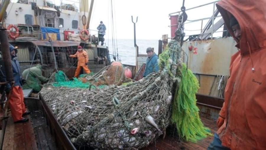 Российским судовладельцам простили 5,6 млрд рублей 