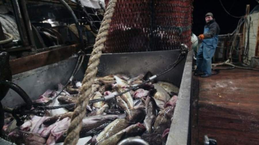 ФСБ хочет расследовать дела о браконьерстве