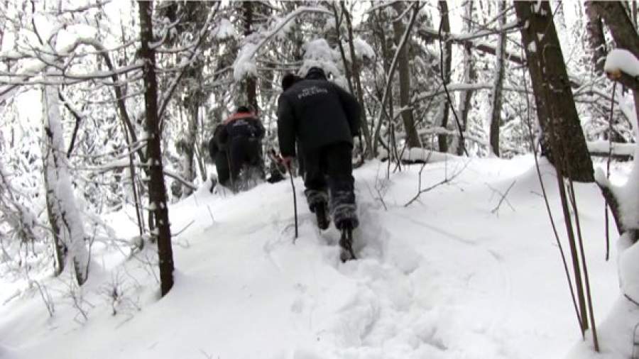 Скандальный бизнесмен разбился после ссоры с решальщиками