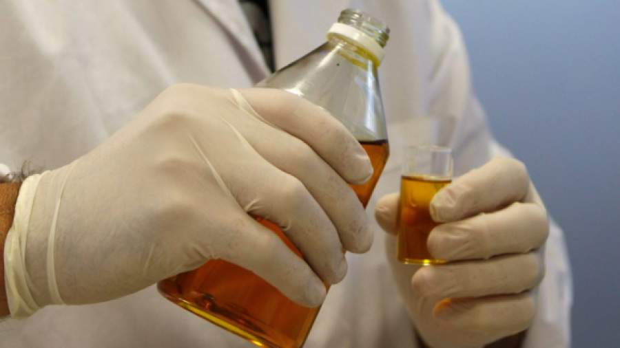 Столичные кафе «обезжирят»