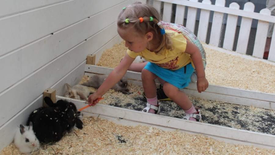 Клички для животных в контактном зоопарке придумают блогеры