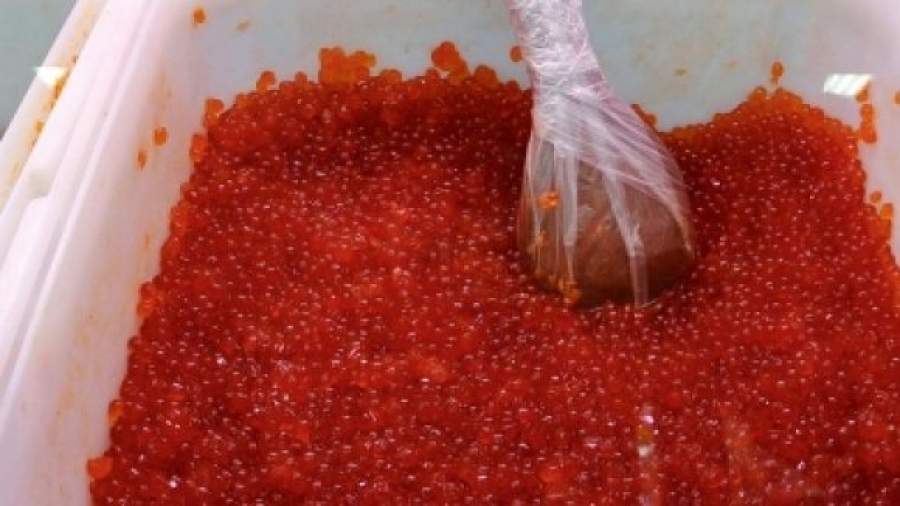 «Шелковый» полуостров