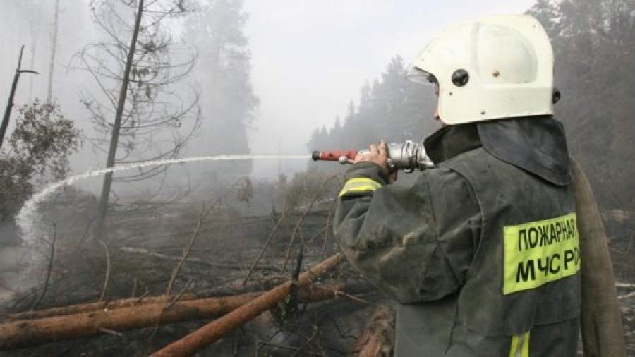 «Гринпис» заставил МЧС предупреждать о лесных пожарах