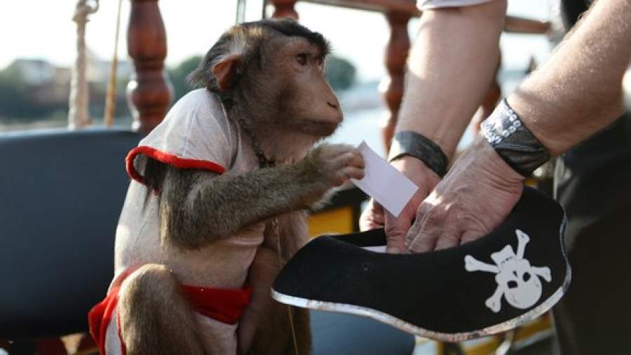 Бюджет получит от гослотерей более 20 млрд рублей