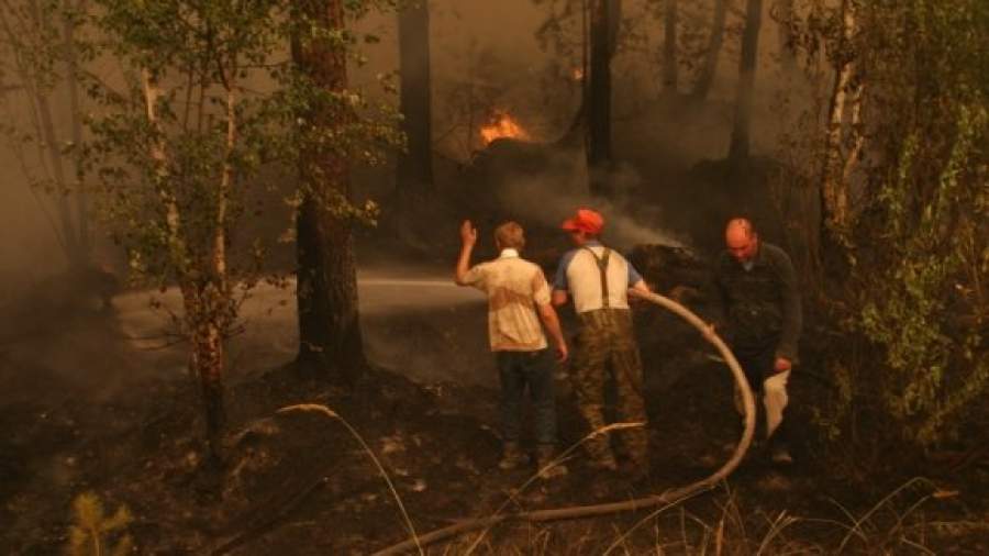 Арендаторам разрешат тушить лесные пожары