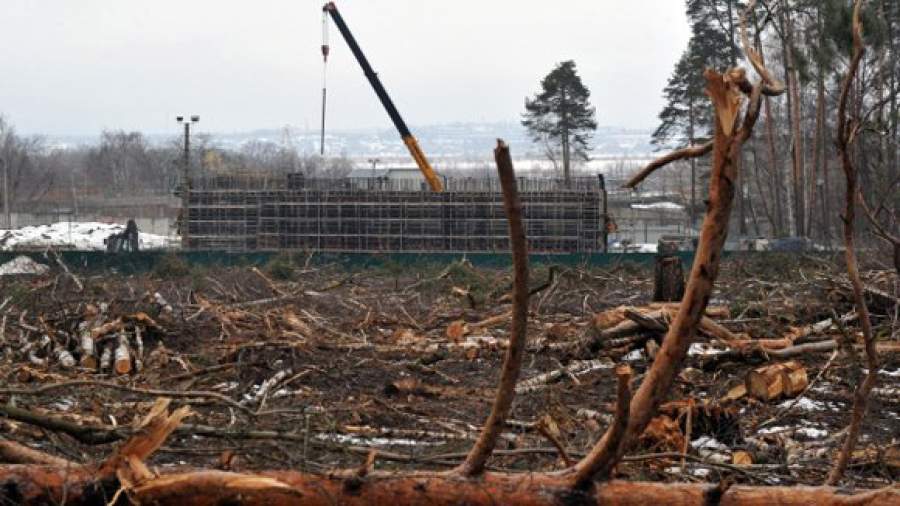 Активистов «Левого фронта» вывели из Цаговского леса на 15 суток 