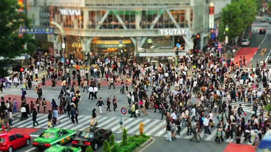 В Москве, Краснодаре и Нижнем Новгороде отметят День Земли
