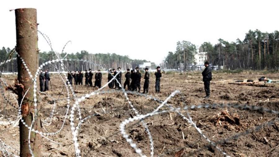 Выживший Цаговский лес «подлечат» особым статусом