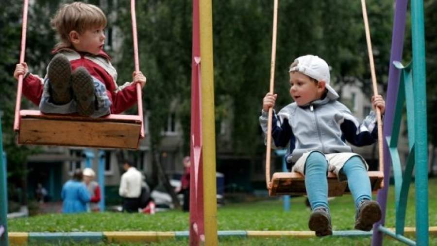 Депутаты отправляют проверку на качели