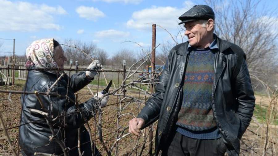 Размер пенсии будет зависеть от пола