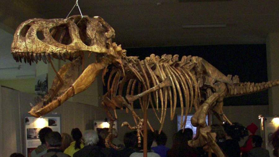 Динозавры помогут усовершенствовать закон «О недрах»