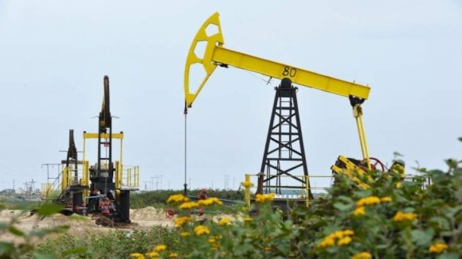 По стопам офицера Зотова