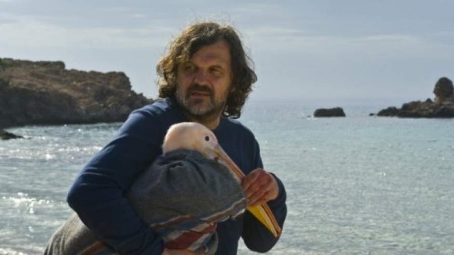 Пеликан, коза и Кустурица в роли пьющего отца