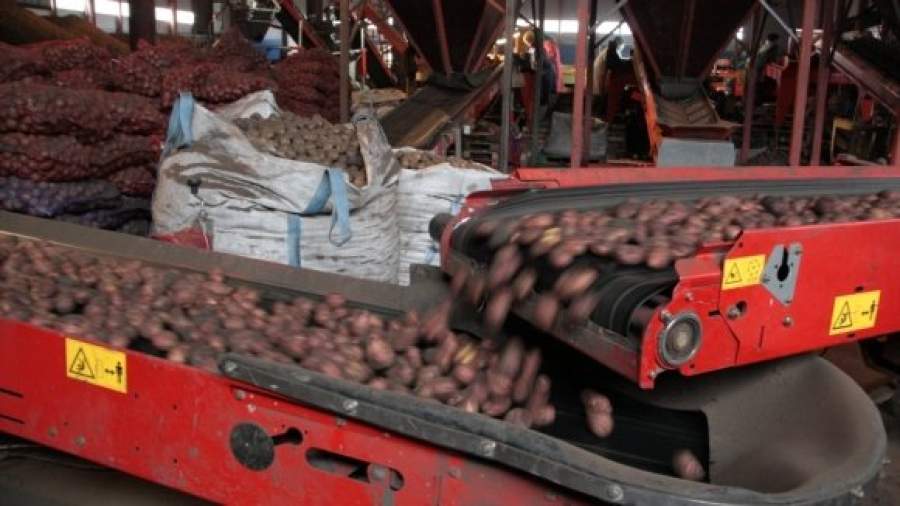 Картошка и капуста довели до дефляции