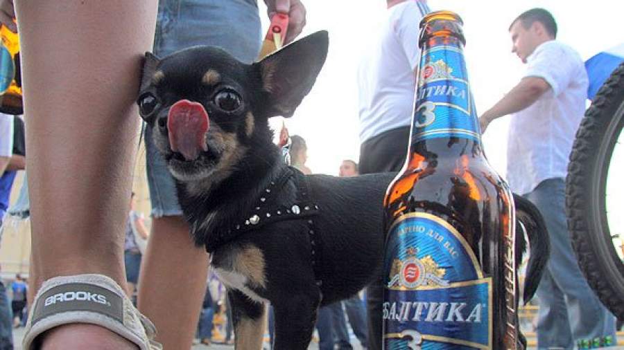 Ларьки на остановках оставили без пива