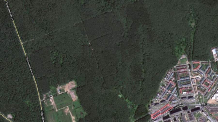 Под спецобъект ФСО заберут 50 га леса под Барвихой