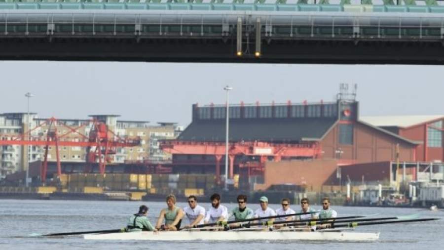 Доктор гребет против экономиста