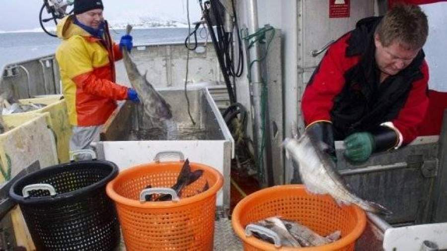 Россельхознадзор может запретить всю рыбу из Норвегии c 1 января